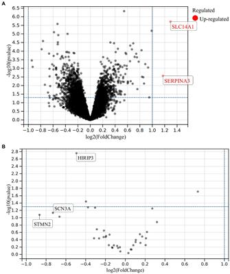 Exploring the association of addiction-related genetic factors with non-suicidal self-injury in adolescents